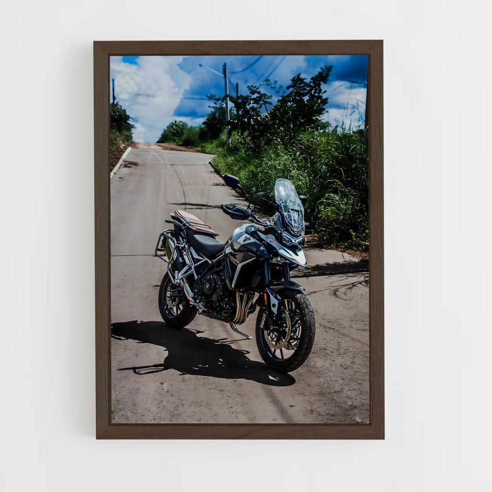 Poster Félidé Éblouissant 900 – affiche Triumph (vue 5)